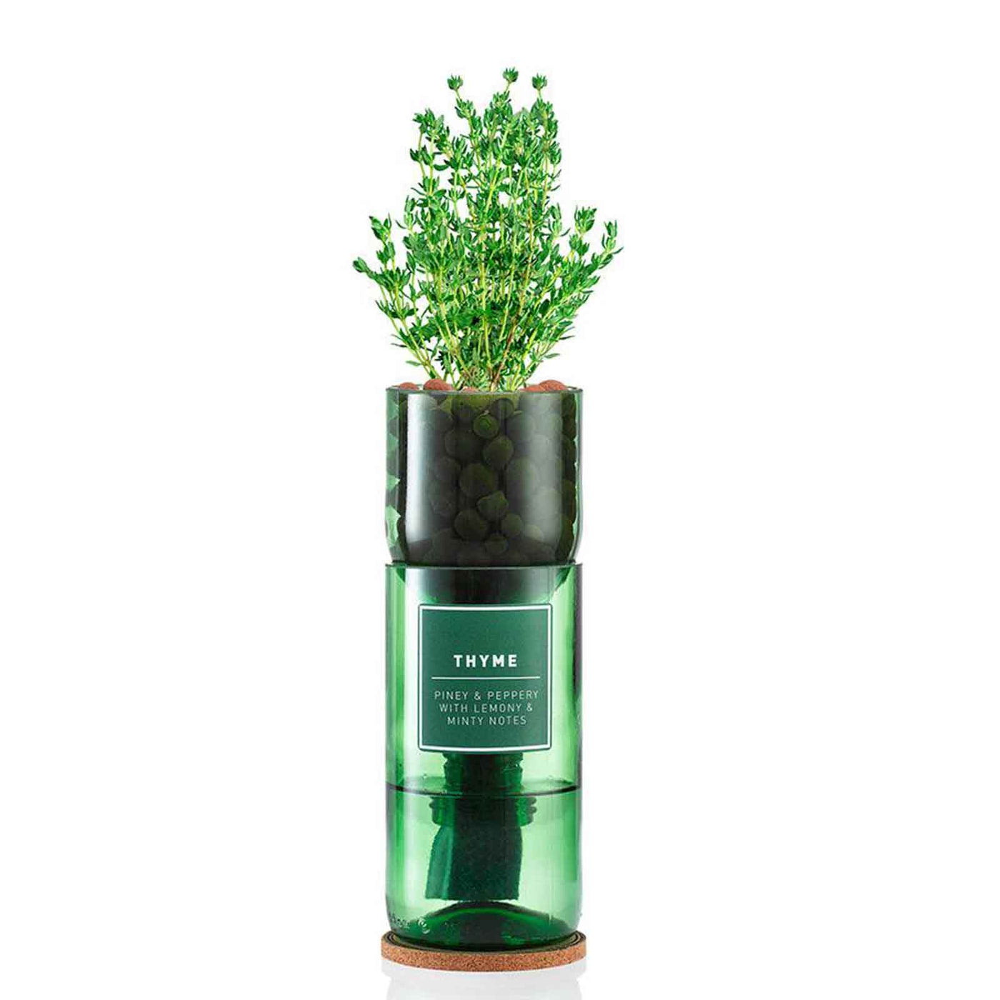 Hydro Herb Thyme Hydroponic Growing Kit - Norman & Vera Garden Emporium
